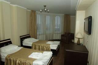 Отель Hotel Deluxe Городенка Стандартный двухместный номер с 1 кроватью или 2 отдельными кроватями-5